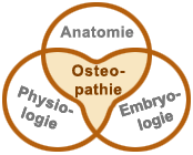 Grafische Darstellung der drei Lehren